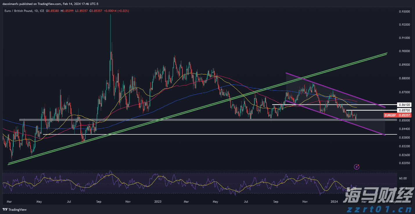 中华白海豚没有手脚,为什么“喜洋洋”“乐融融”有?