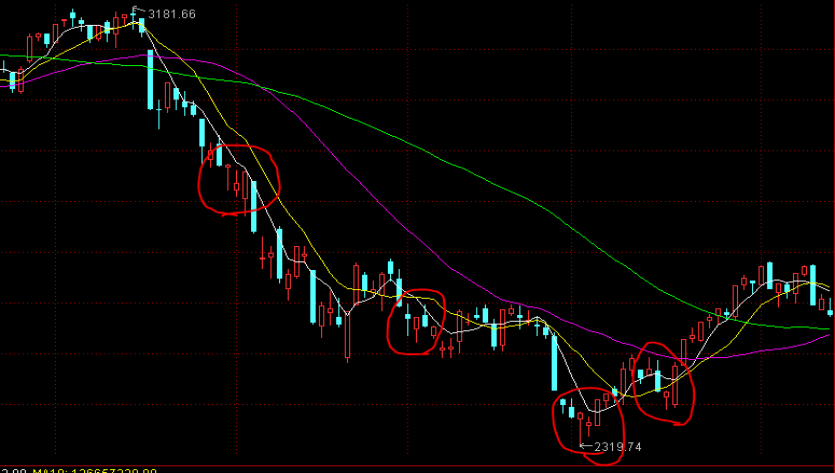 产教融合育匠才 职教改革谱新篇——我市职业教育改革成效综述
