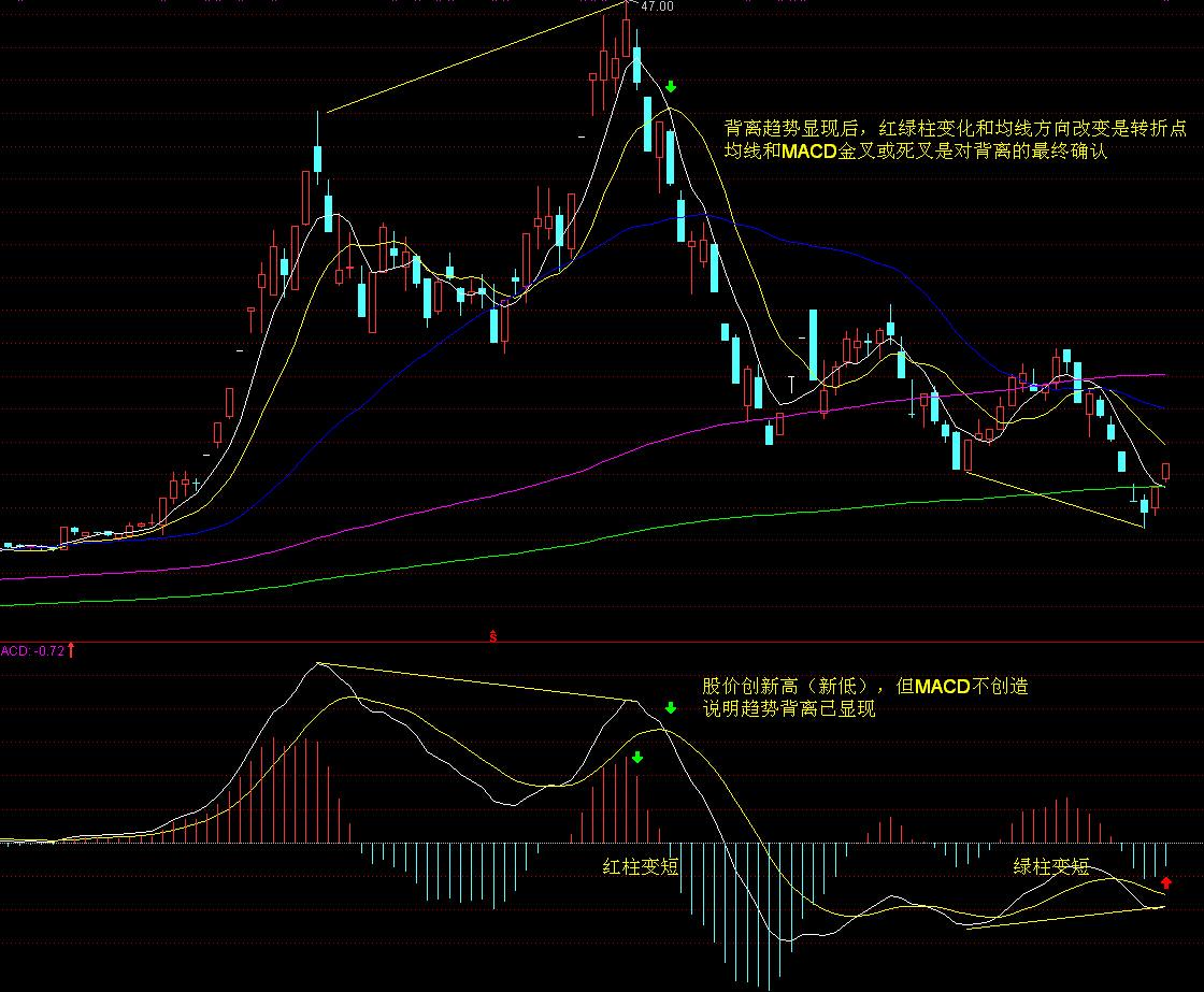 2024年广东海水鱼养殖产量约占全国产量一半